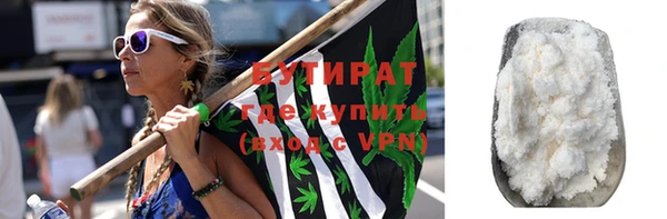 сатива Ельня