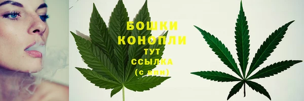 соль ск Рославль