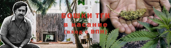 соль ск Рославль